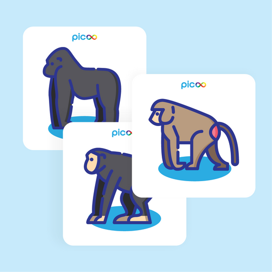 Quiz Klein, middel, groot